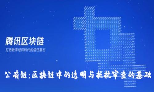 公有链:区块链中的透明与抵抗审查的基础