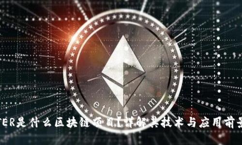 TER是什么区块链项目?详解其技术与应用前景