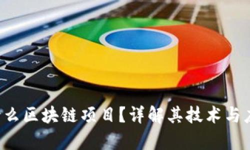 TER是什么区块链项目?详解其技术与应用前景