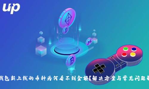 TP钱包新上线的币种为何看不到金额?解决方案与常见问题解析