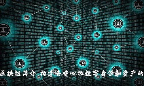 ONT区块链简介:构建去中心化数字身份和资产的未来