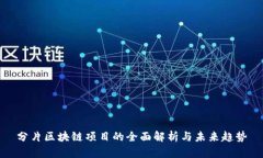 分片区块链项目的全面解