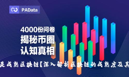 什么是成熟区块链?深入解析区块链的成熟度及其影响