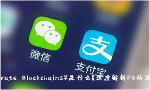 区块链PB(Private Blockchains)是什么?深度解析PB的优势与应用前景