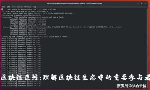 区块链巨鲸:理解区块链生态中的重要参与者