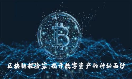 区块链探险家:揭开数字资产的神秘面纱